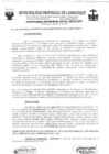 Vista preliminar de documento ordenanza municipal