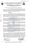 Vista preliminar de documento ordenanza municipal