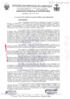 Vista preliminar de documento ordenanza municipal