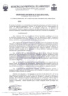 Vista preliminar de documento ordenanza municipal