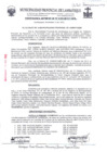 Vista preliminar de documento ordenanza municipal