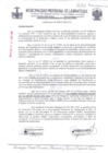 Vista preliminar de documento ordenanza municipal