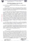 Vista preliminar de documento ordenanza municipal