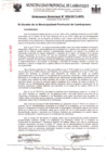 Vista preliminar de documento ordenanza municipal