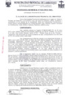 Vista preliminar de documento ordenanza municipal