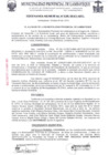 Vista preliminar de documento ordenanza municipal