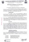 Vista preliminar de documento ordenanza municipal