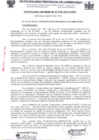 Vista preliminar de documento ordenanza municipal
