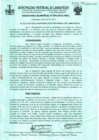 Vista preliminar de documento ordenanza municipal