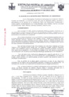 Vista preliminar de documento ordenanza municipal