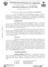 Vista preliminar de documento ordenanza municipal