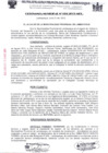 Vista preliminar de documento ordenanza municipal