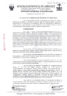 Vista preliminar de documento ordenanza municipal