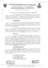 Vista preliminar de documento ordenanza municipal