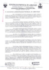 Vista preliminar de documento ordenanza municipal