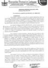 Vista preliminar de documento ordenanza municipal