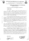 Vista preliminar de documento ordenanza municipal
