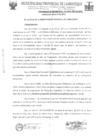 Vista preliminar de documento ordenanza municipal
