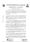 Vista preliminar de documento ordenanza municipal