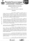 Vista preliminar de documento ordenanza municipal