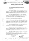 Vista preliminar de documento ordenanza municipal