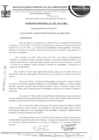 Vista preliminar de documento ordenanza municipal