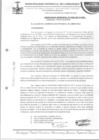 Vista preliminar de documento ordenanza municipal