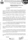 Vista preliminar de documento ordenanza municipal