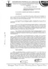 Vista preliminar de documento ordenanza municipal