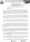 Vista preliminar de documento ordenanza municipal