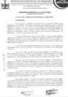 Vista preliminar de documento ordenanza municipal