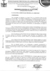 Vista preliminar de documento ordenanza municipal