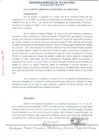 Vista preliminar de documento ordenanza municipal