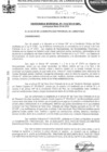 Vista preliminar de documento ordenanza municipal