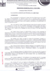Vista preliminar de documento ordenanza municipal