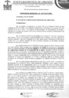 Vista preliminar de documento ordenanza municipal