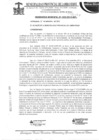 Vista preliminar de documento ordenanza municipal