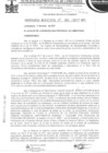 Vista preliminar de documento ordenanza municipal