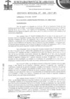 Vista preliminar de documento ordenanza municipal