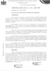 Vista preliminar de documento ordenanza municipal