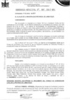 Vista preliminar de documento ordenanza municipal