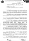 Vista preliminar de documento ordenanza municipal