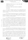 Vista preliminar de documento ordenanza municipal