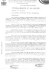Vista preliminar de documento ordenanza municipal