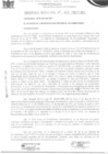 Vista preliminar de documento ordenanza municipal