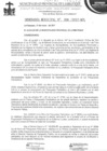 Vista preliminar de documento ordenanza municipal