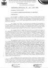 Vista preliminar de documento ordenanza municipal