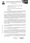 Vista preliminar de documento ordenanza municipal