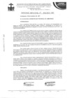 Vista preliminar de documento ordenanza municipal