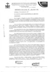 Vista preliminar de documento ordenanza municipal